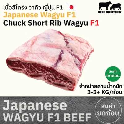 เนื้อซี่โครง F1 (Japanese F1 Wagyu Chuck Short Rib) ヘッドバラ (Hedo Bara)