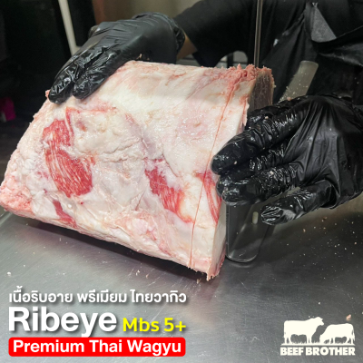 เนื้อริบอาย พรีเมียม ไทยวากิว (Premium Thai Wagyu Ribeye MBS 5+ 250 g.)