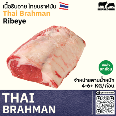 เนื้อสันแหลมริบอาย ไทย บราห์มัน (Thai Brahman Ribeye)