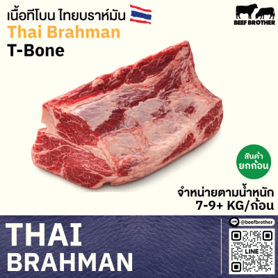 เนื้อทีโบน ไทย บราห์มัน (Thai Brahman T-Bone)