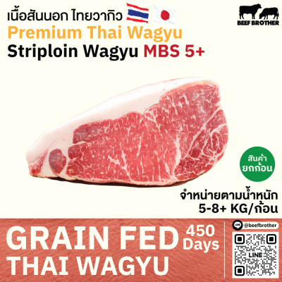 เนื้อสันนอก ไทยวากิว MBS 4/5 (Thai Wagyu Striploin MBS 4/5)