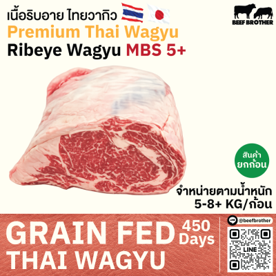 เนื้อสันแหลม ริบอาย ไทยวากิว MBS 4/5 (Thai Wagyu Ribeye MBS 4/5)