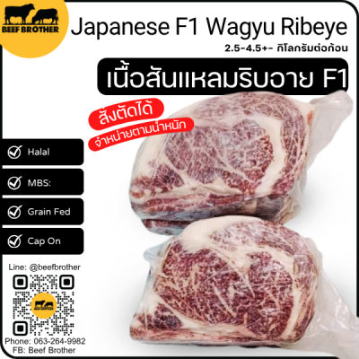 เนื้อสันแหลมริบอาย F1 (Japanese F1 Wagyu Ribeye) リブロース (Ribu Rosu)