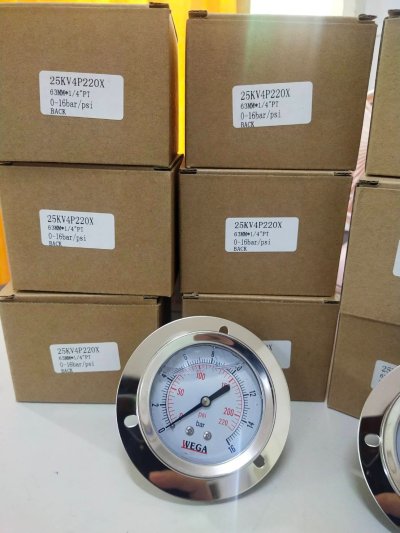 Pressure Gauge