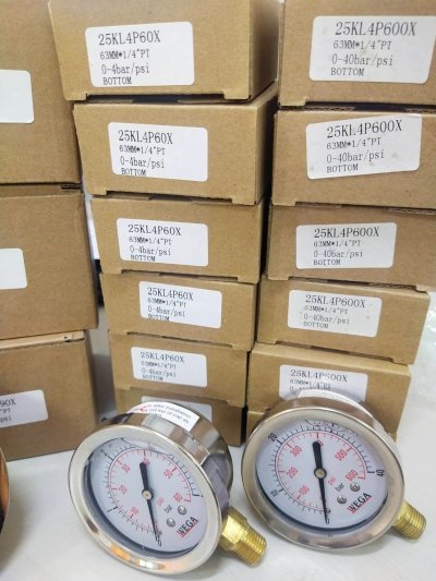 Pressure Gauge