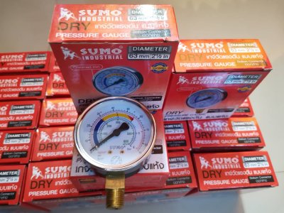 Pressure gauge