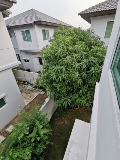 บ้านเดี่ยว : บ้านพฤกษ์ลดา ประชาอุทิศ 90 บ้านเดี่ยว : บ้านพฤกษ์ลดา ประชาอุทิศ 90