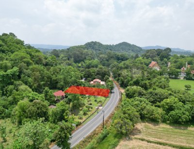 ขายที่ดินติดถนนหลวง เนื้อที่ 142 ตารางวา สาริกา นครนายก ขายที่ดินติดถนนหลวง เนื้อที่ 142 ตารางวา สาริกา นครนายก