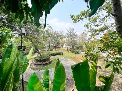 บ้านเดี่ยวศุภาลัย วิลล์ ศรีสมาน-ปทุมธานี(สายใน)  หลังมุมติดสวน