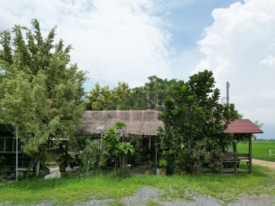 ขาย ที่ดินจัดสรร ลำลูกกา คลอง16 องครักษ์