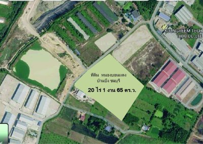 ขาย ที่ดิน บ้านบึง หนอง บอน แดง ชลบุรี(พร้อมสิ่งปลูกสร้าง)