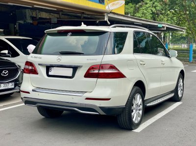 MERCEDES BENZ ML 250 CDI 2013