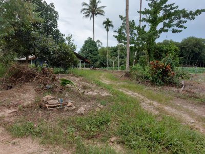 เสนอขายที่ดิน ขึ้นโฉนดเพื่อการเกษตรแล้ว