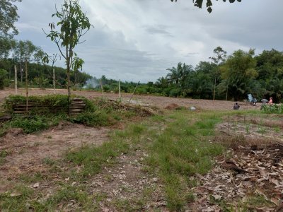 เสนอขายที่ดิน ขึ้นโฉนดเพื่อการเกษตรแล้ว