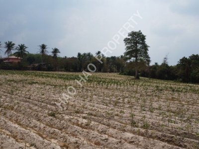 เสนอขายที่ดิน รวม 20 ไร่