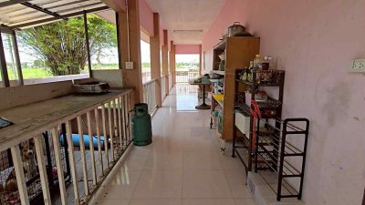 ขายที่ดินพร้อมบ้านสวน คลอง 10 ต.บึงกาสาม อ.หนองเสือ จ.ปทุมธานี