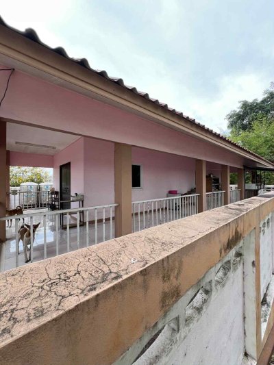 ขายที่ดินพร้อมบ้านสวน คลอง 10 ต.บึงกาสาม อ.หนองเสือ จ.ปทุมธานี