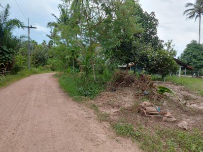 เสนอขายที่ดิน ขึ้นโฉนดเพื่อการเกษตรแล้ว