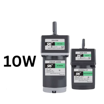 SAS Induction motor 10W