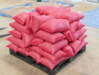 Thai Garlic Cloves