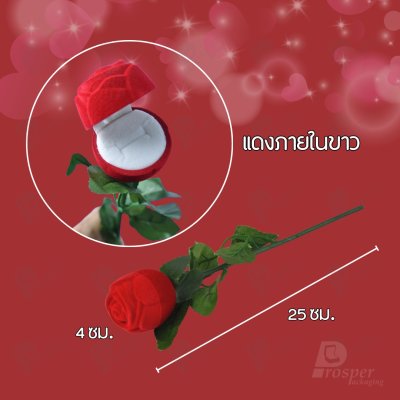 กล่องแหวนทรงดอกกุหลาบมีก้าน พร้อมส่ง มอบให้วันวาเลนไทน์ สามารถนำจัดโชว์ตกแต่งได้