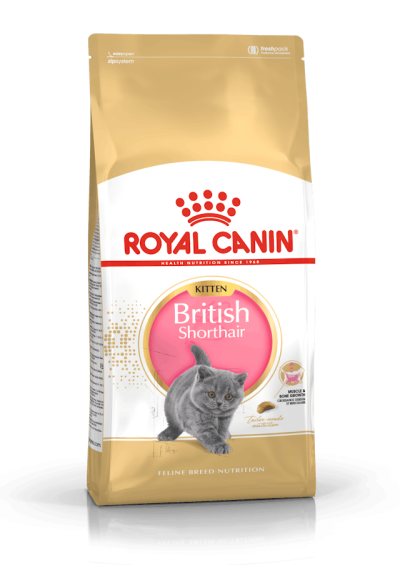 Royal Canin British Shorthair