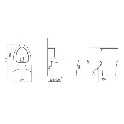 ELVA ONE-PIECE TOILET CM215AWD