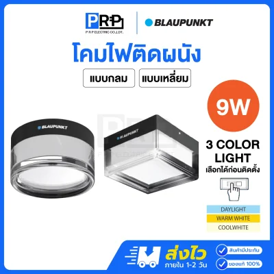 BLAUPUNKT โคมไฟติดผนัง LED 9W 3แสง กันน้ำกันฝุ่น IP65