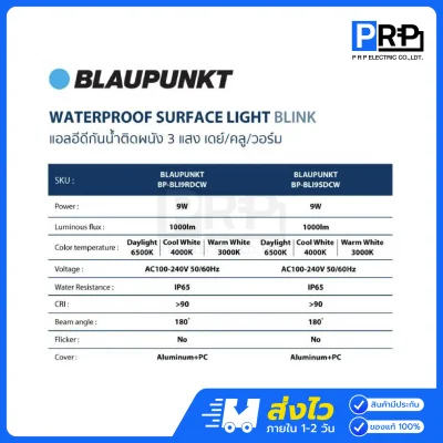 BLAUPUNKT โคมไฟติดผนัง LED 9W 3แสง กันน้ำกันฝุ่น IP65