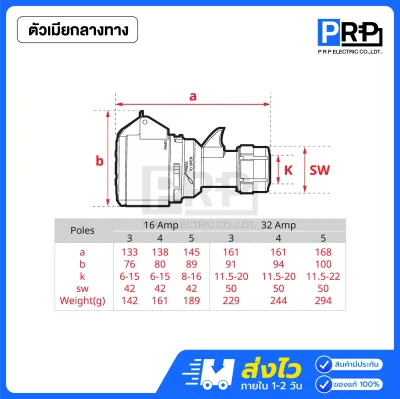 PCE พาวเวอร์ปลั๊ก 3 ขา ตัวผู้ ตัวเมีย 230V ชนิดกันฝุ่น IP44