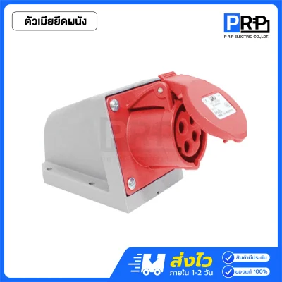 PCE พาวเวอร์ปลั๊ก 4 ขา ตัวผู้ ตัวเมีย 230V ชนิดกันฝุ่น IP44
