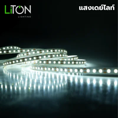 LiTON ไฟเส้น LED 12V ยาว 5 เมตร Spectrum