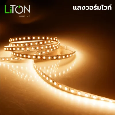 LiTON ไฟเส้น LED 12V ยาว 5 เมตร Spectrum