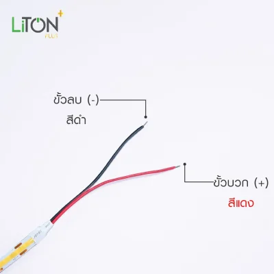 LiTON ไฟเส้น LED 12V ยาว 5 เมตร Radient