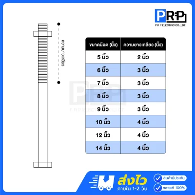 น๊อตจับเสาไฟฟ้า ขนาด 5/8 และแหวนเหลี่ยม