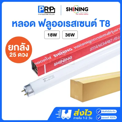 SHINING หลอด ฟลูออเรสเซนต์ Tube T8