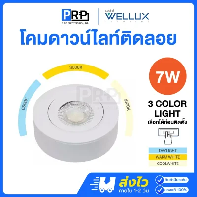 Wellux ดาวน์ไลท์ติดลอย LED 7W ขนาด 3.5 นิ้ว Mount Series