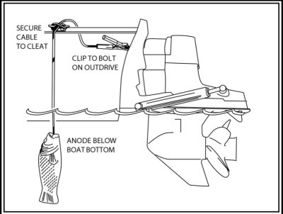Grouper Anodes