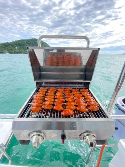 Stainless still Gas Grill and Oven BBQ