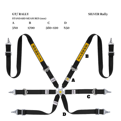 SABELT SILVER RALLY - (Black)