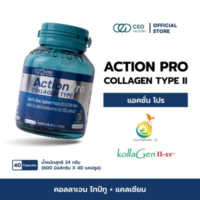 Action Pro