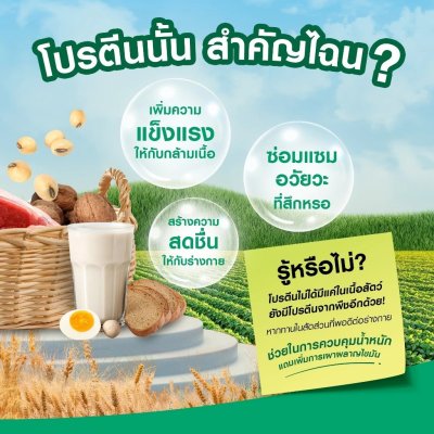 วิสทร้า ไวตา-โปร เดลี่ แพลนต์โปรตีน (ซองละ 25 กรัม x 10 ซอง)
