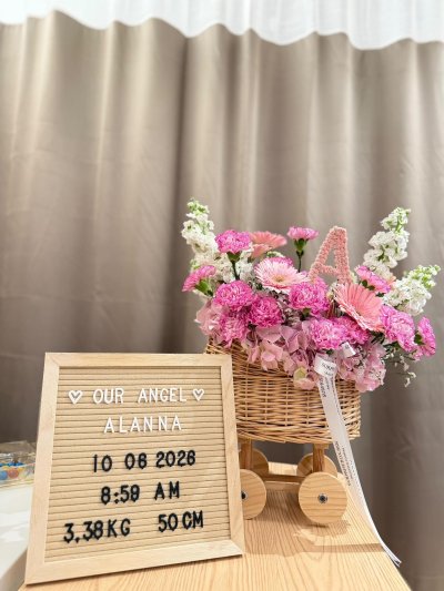 Baby Cradle Princess Pink