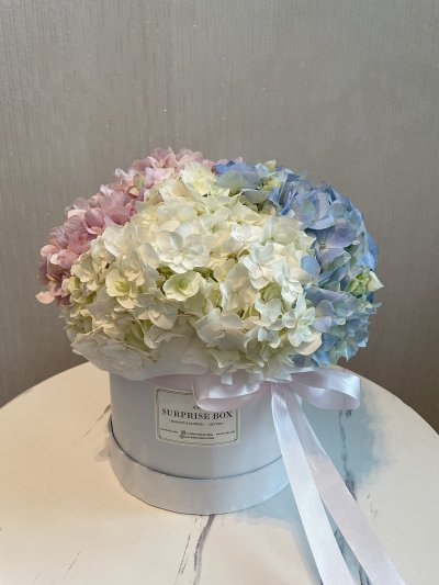 Pastel Mix Hydrangea Box L