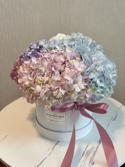 Pastel Mix Hydrangea Box L
