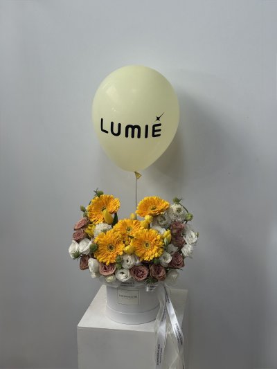 Yellow Gerbera Tulips Box For Lumie