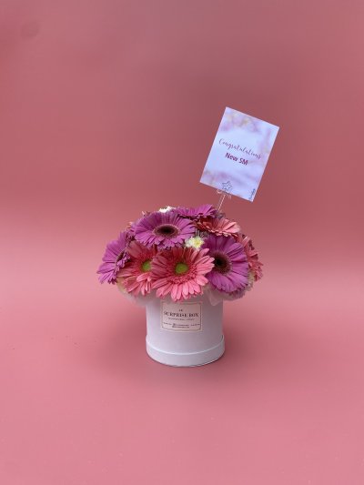 Gerbera Daisies Box S