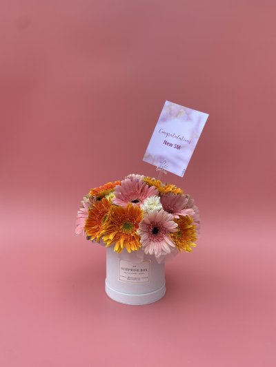 Gerbera Daisies Box S