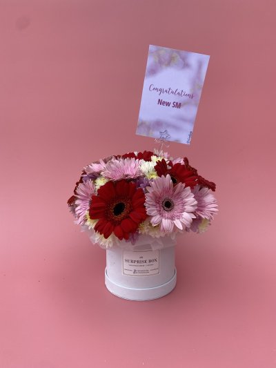 Gerbera Daisies Box S