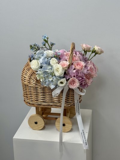 Pink Blue Baby Cradle